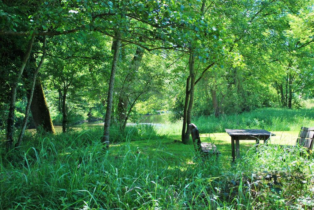 Domaine Les Gandins Bed and Breakfast Saint-Germain-de-Salles Zewnętrze zdjęcie
